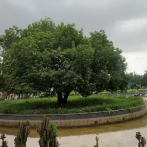 unnamed - 2025-09-02T134747.281