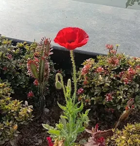 unnamed - 2025-09-02T134957.558